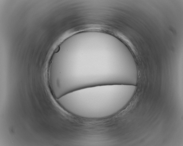 X0000115501475200911061012