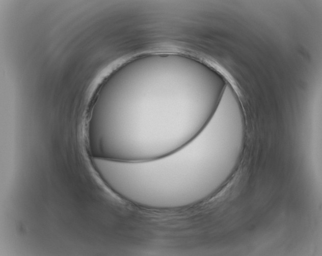 X0000115501477200911061012
