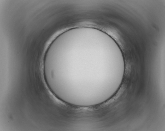 X0000115501478200911061012