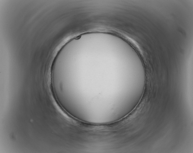 X0000115501479200911061012