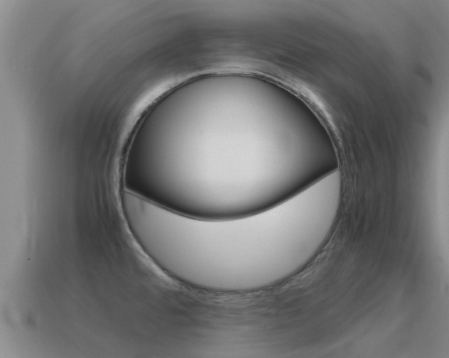 X0000115501480200911061012