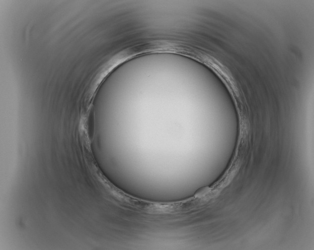 X0000115501481200911061012
