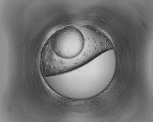 X0000115501483200911061012