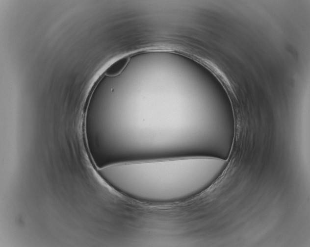 X0000115501484200911061012