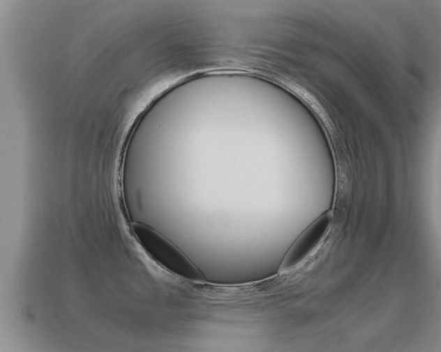 X0000115501485200911061012