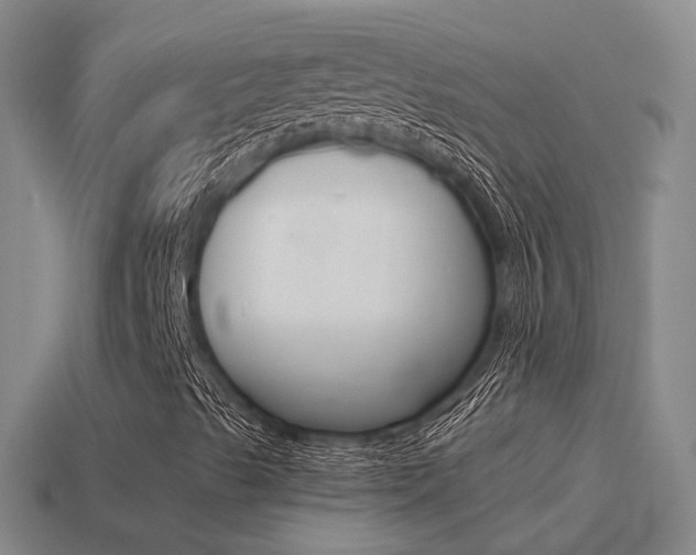 X0000115501489200911061011
