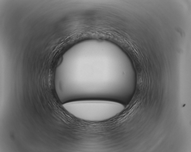X0000115501490200911061011