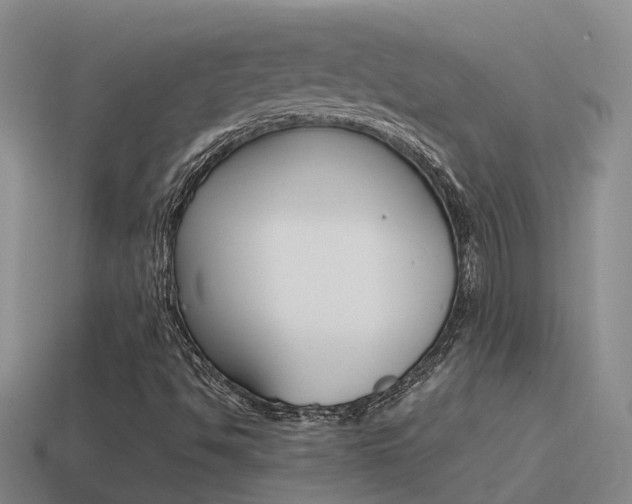 X0000115501494200911061011