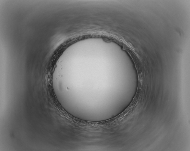 X0000115501495200911061011