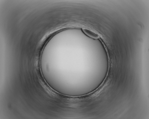 X0000115501499200911061012