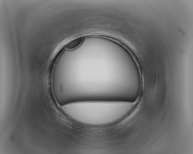 X0000115501501200911061012