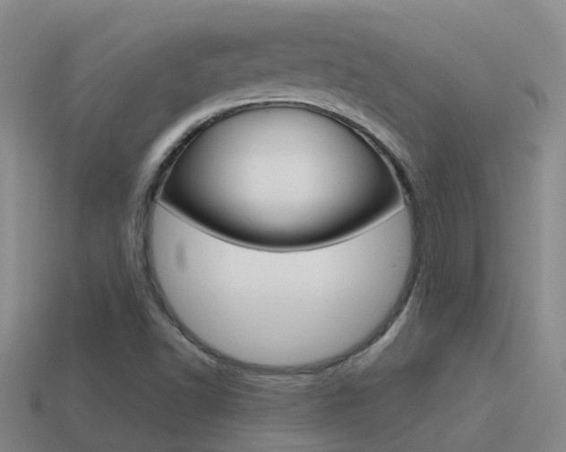 X0000115501502200911061012