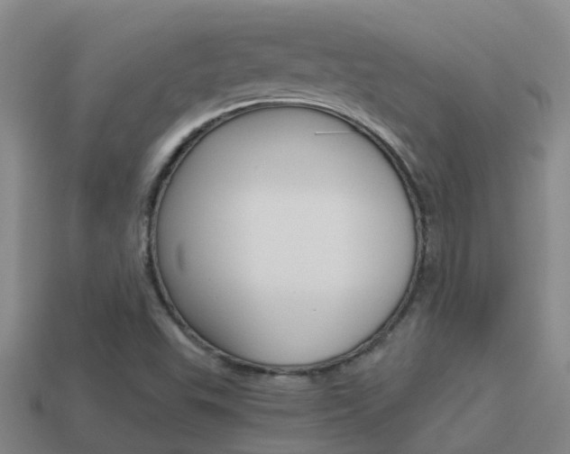 X0000115501503200911061012