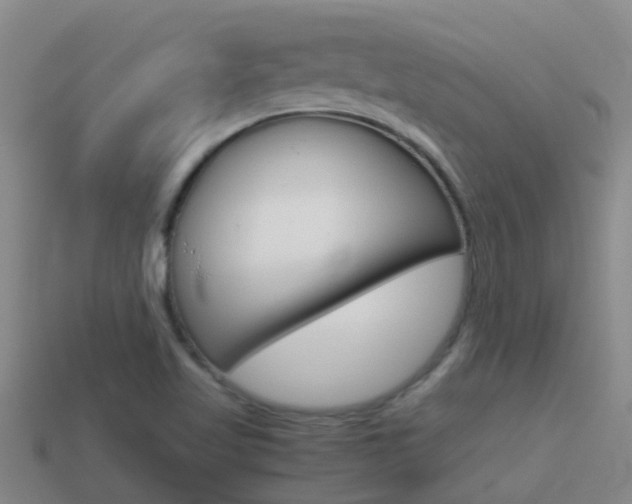 X0000115501509200911061012