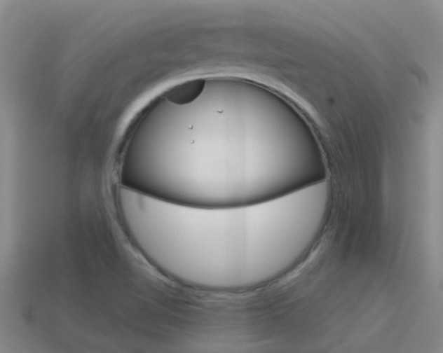 X0000115501510200911061012