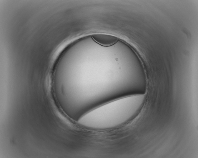 X0000115501511200911061012