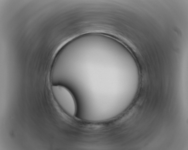 X0000115501513200911061012