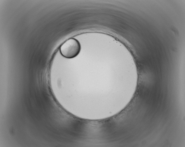 X0000115501514200911061012