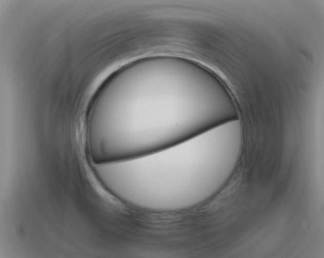X0000115501515200911061012