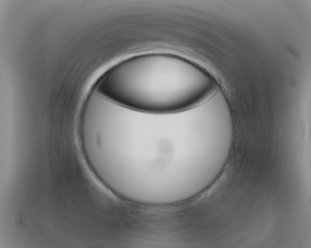 X0000115501518200911061012