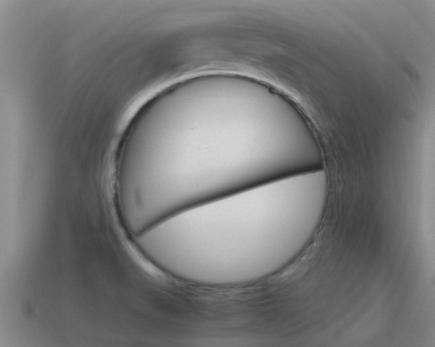 X0000115501519200911061012