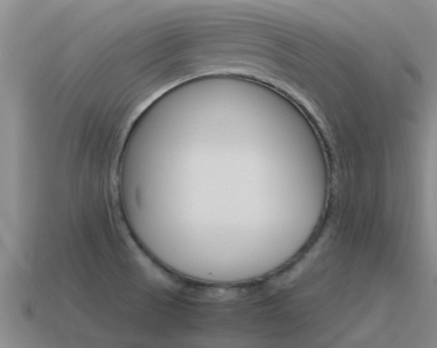 X0000115501521200911061012