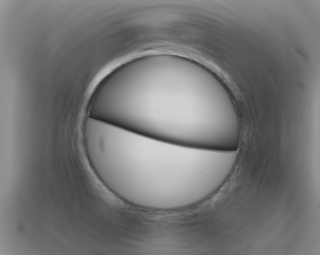X0000115501522200911061012