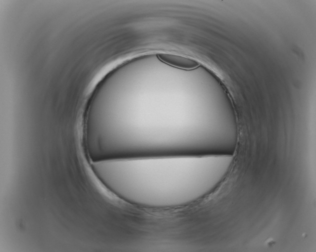 X0000115501523200911061012