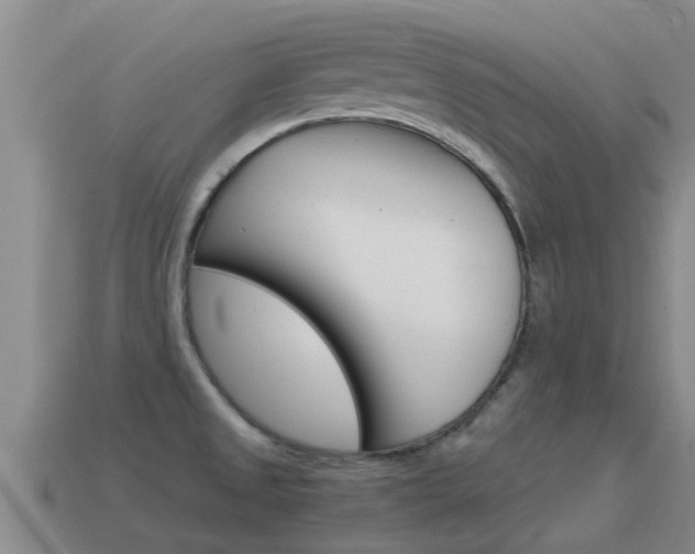X0000115501525200911061012