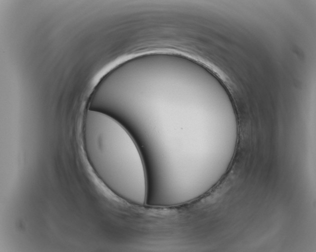 X0000115501526200911061012