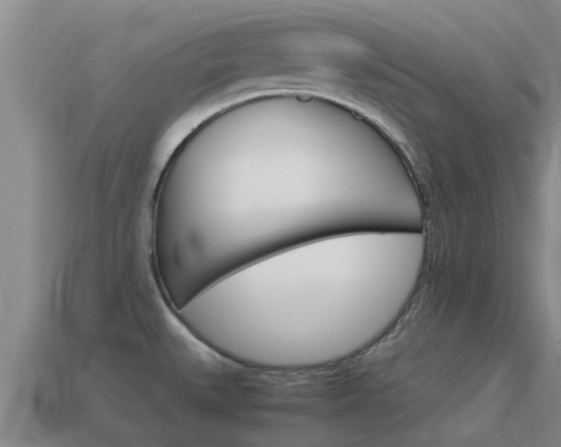 X0000115501527200911061012
