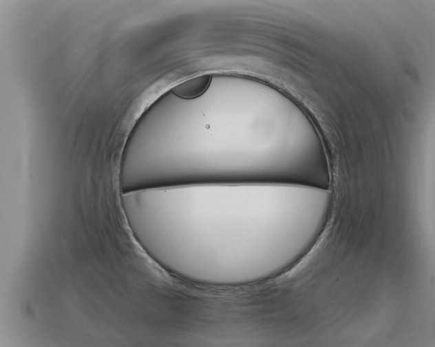 X0000115501529200911061012