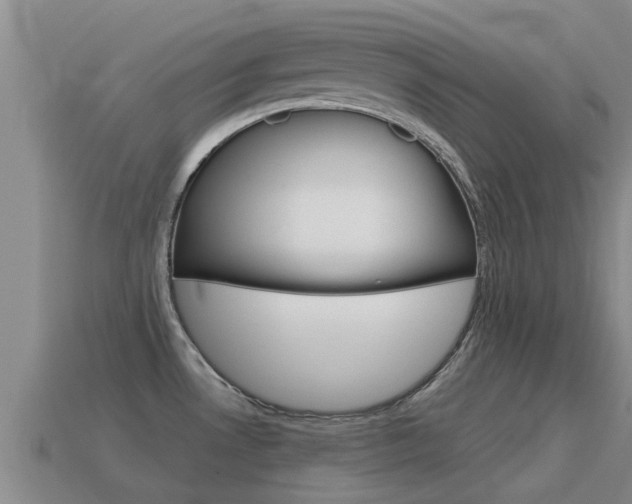 X0000115501530200911061012