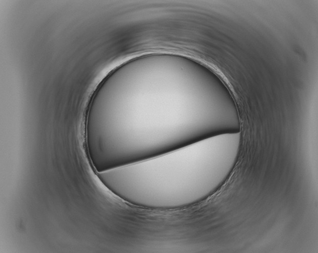 X0000115501531200911061012