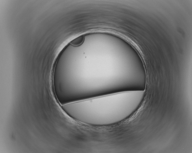 X0000115501533200911061012
