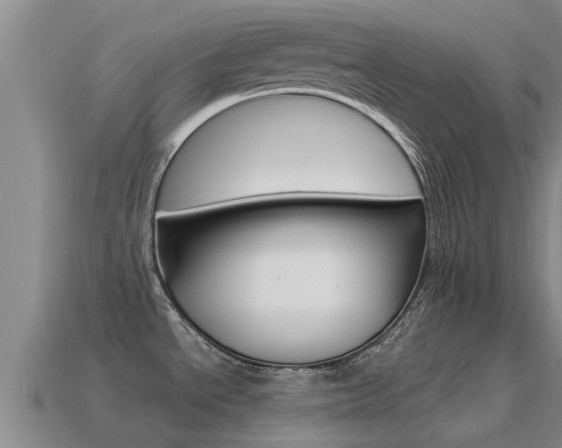 X0000115501534200911061012