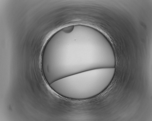 X0000115501535200911061012