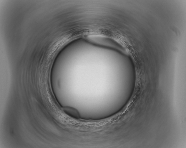 X0000115500001200911061337