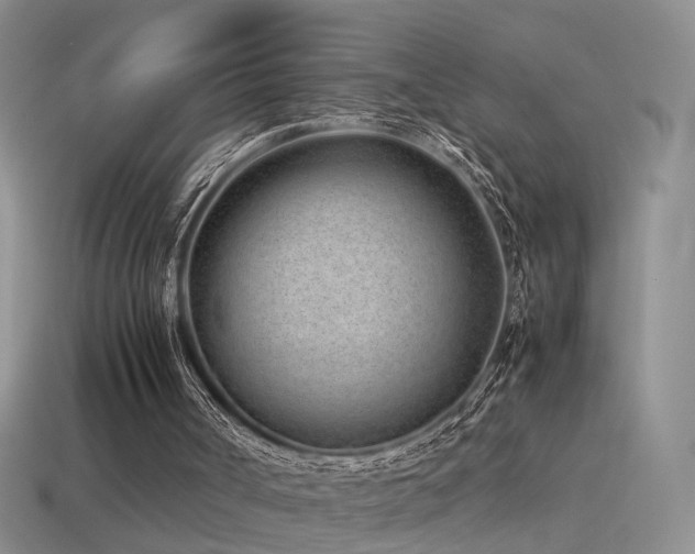 X0000115500002200911061337