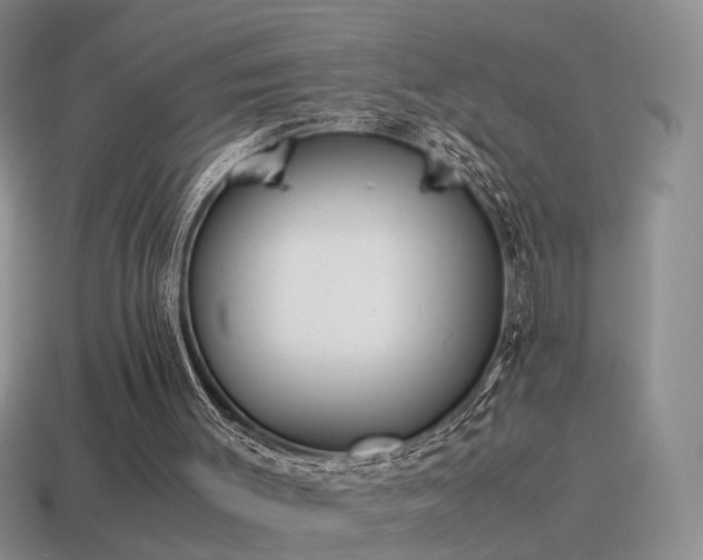 X0000115500003200911061337