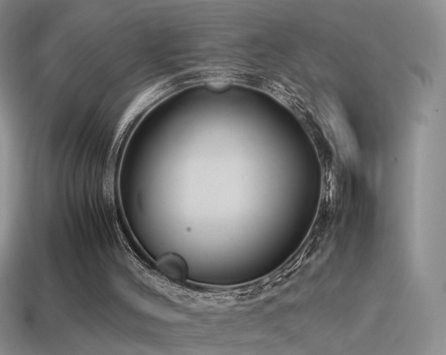 X0000115500004200911061336