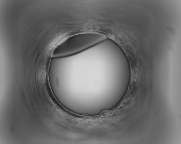 X0000115500005200911061336