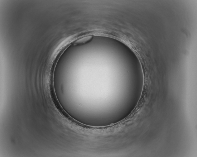 X0000115500007200911061336