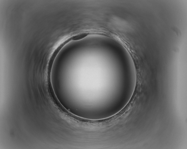X0000115500008200911061336