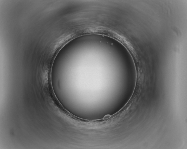 X0000115500010200911061336