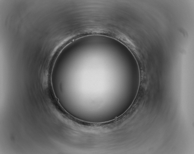 X0000115500012200911061336