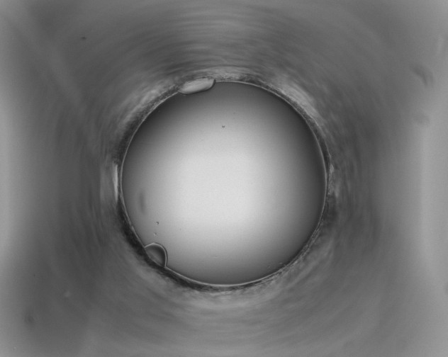 X0000115500013200911061336