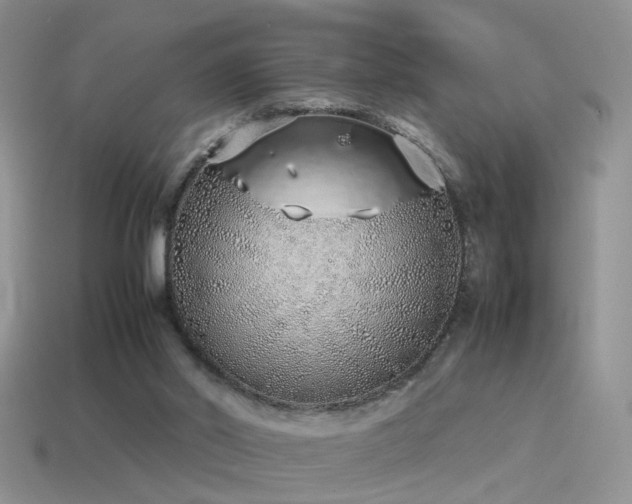 X0000115500014200911061336