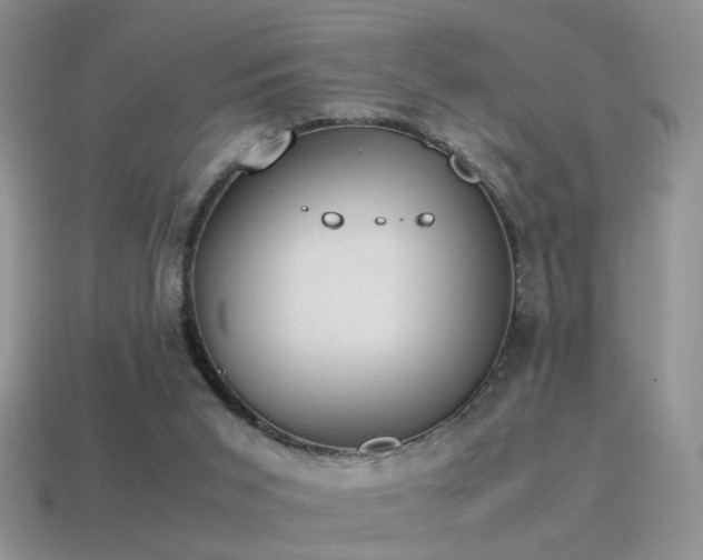 X0000115500015200911061336