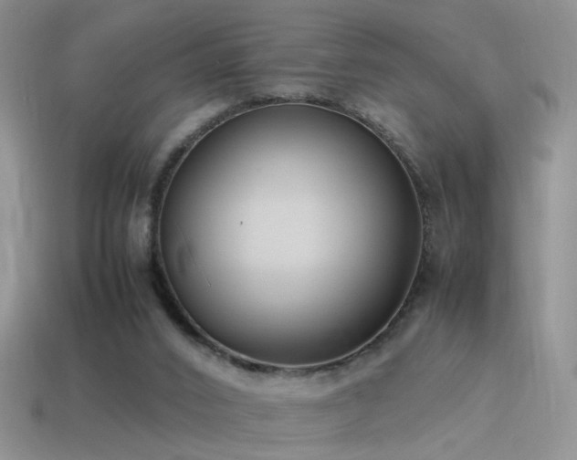 X0000115500016200911061336